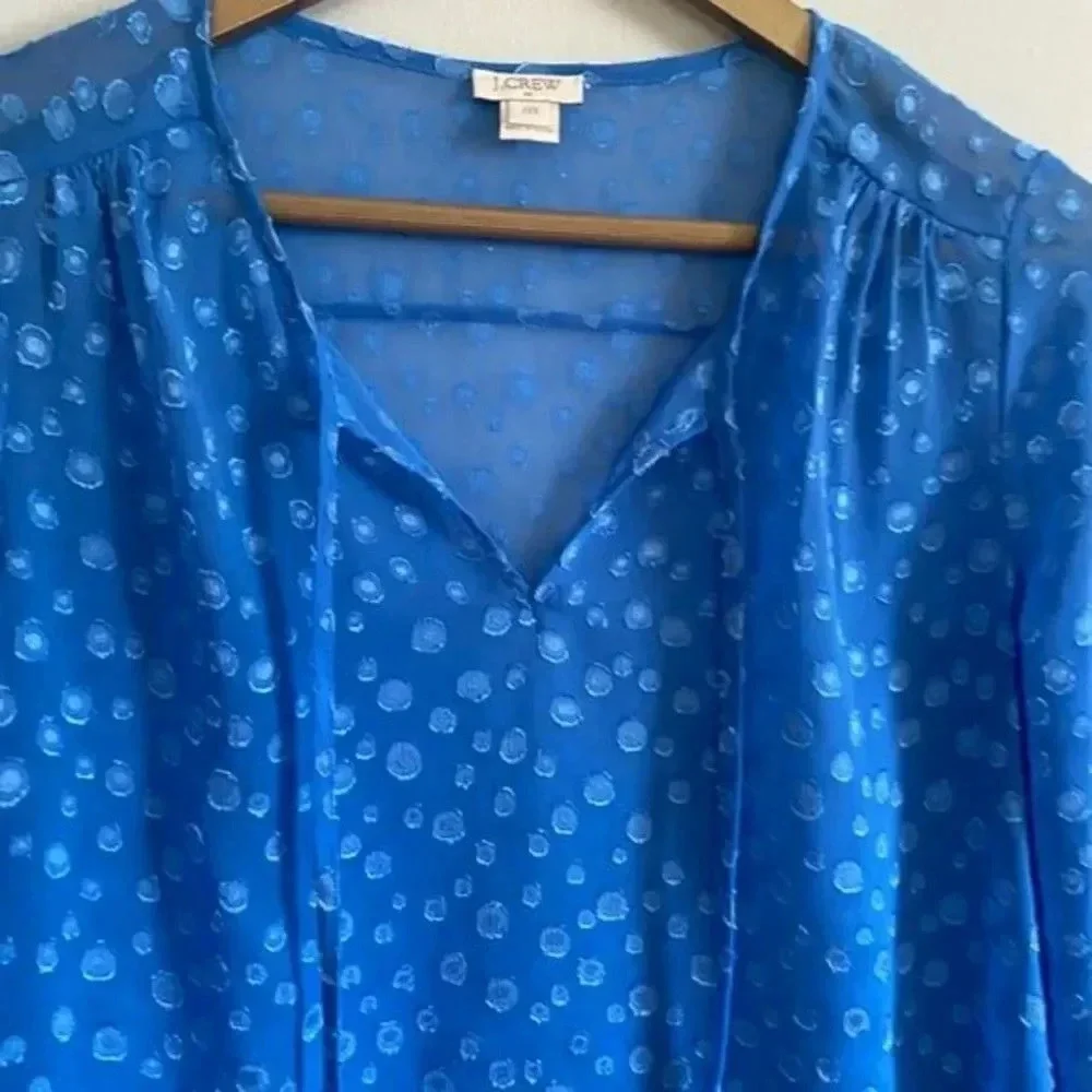 J. Crew Blue Polka Dot Sheer Blouse - Picture 5 of 10